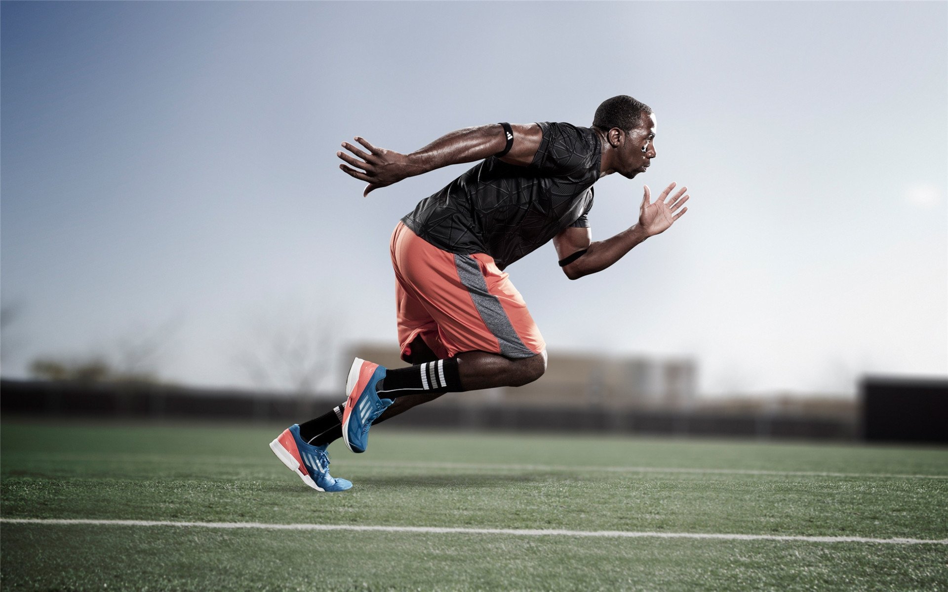 美洲赛区新星迅速崛起,美洲赛场